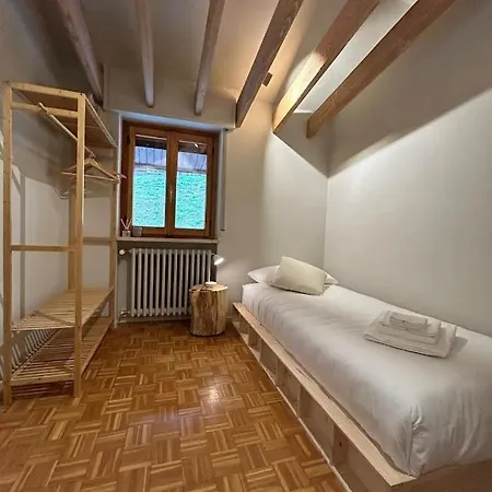 Il Faggio Rosso Vernante