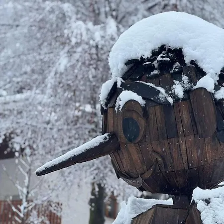 Il Faggio Rosso Apartment *