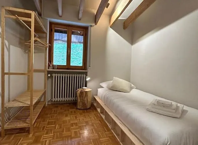 Il Faggio Rosso Vernante