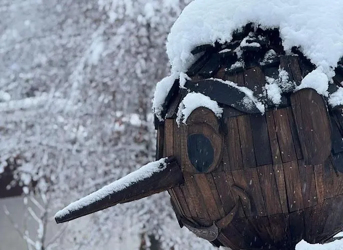 Il Faggio Rosso Apartment *